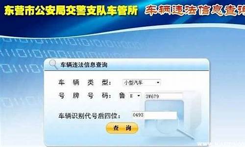 许昌车辆违章查询_许昌车辆违章查询官方网站